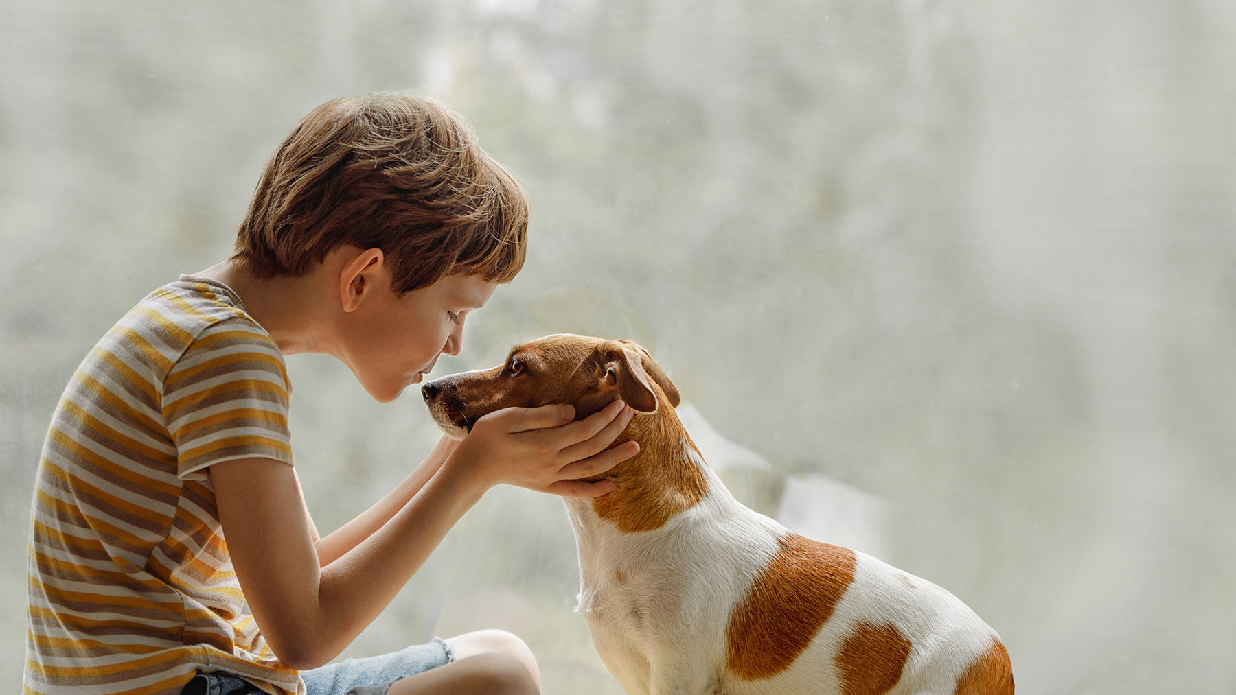 Child and dog